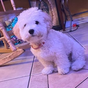 Meet your Posher, Erika